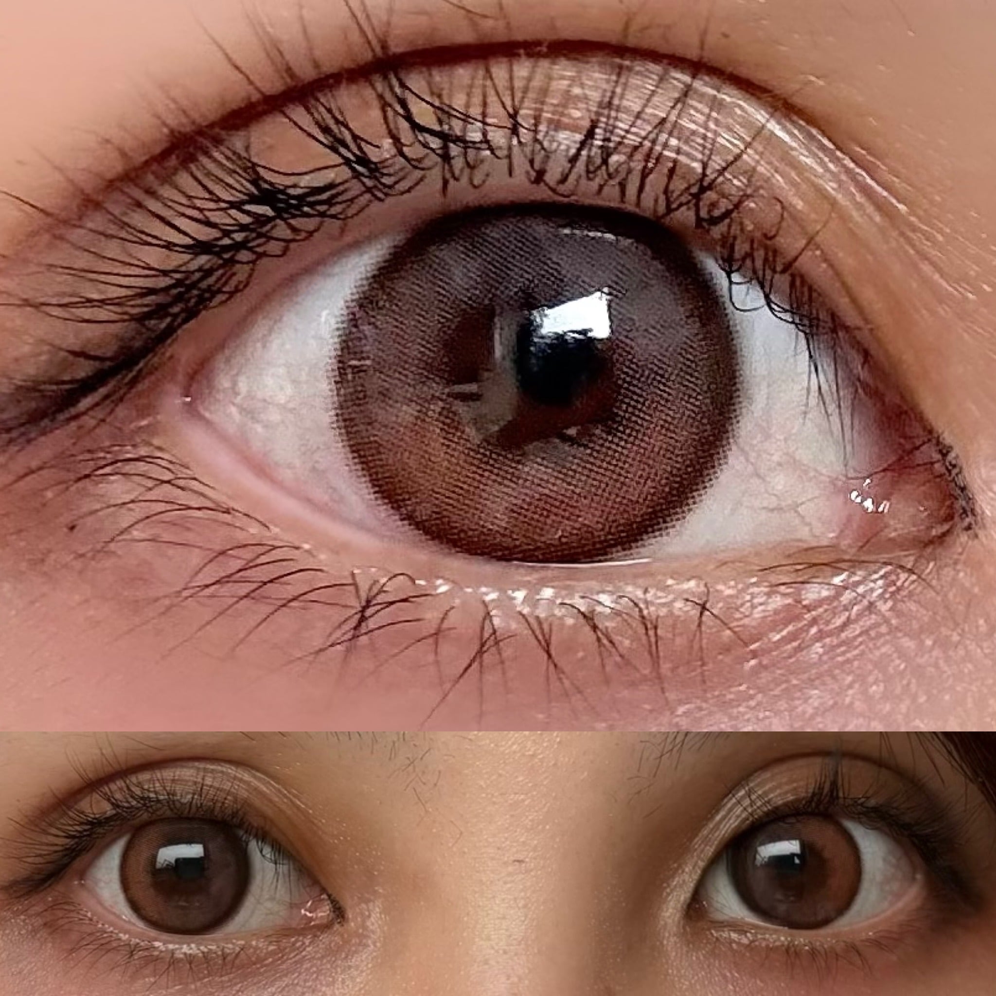 オリアナ ワンデー シェードブラウン