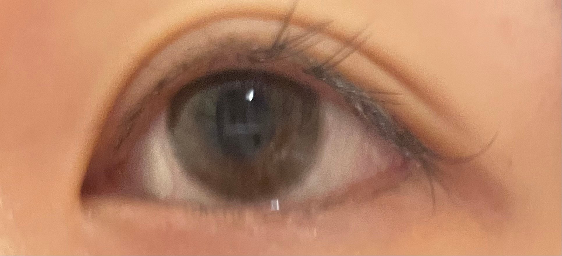 ローリング・チョコ [1年用] 