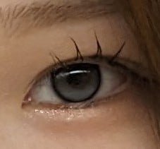 ONE PICK バランス グレーウィスパー 【1ヶ月】 軸固定