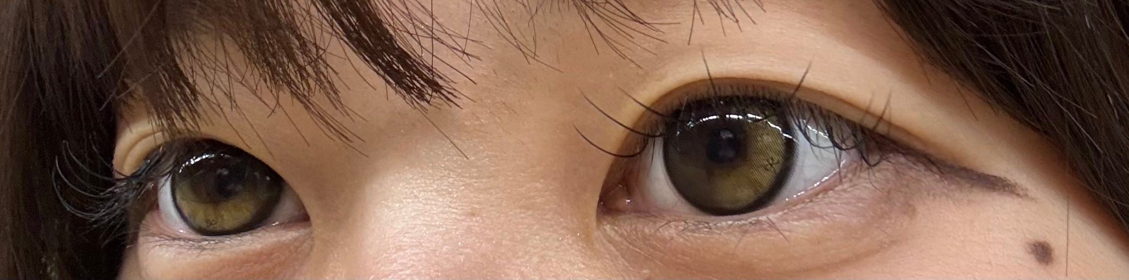 [I-SHA] リボン オークヘイズ 【1ヶ月】軸固定