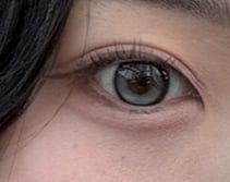 ONE PICK バランス グレーウィスパー  [ 1DAY ]  軸固定