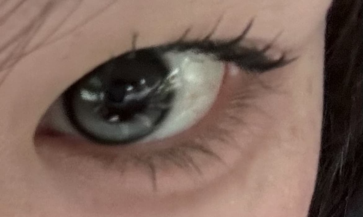 ONE PICK バランス グレーウィスパー 軸固定  [ 1DAY ] 