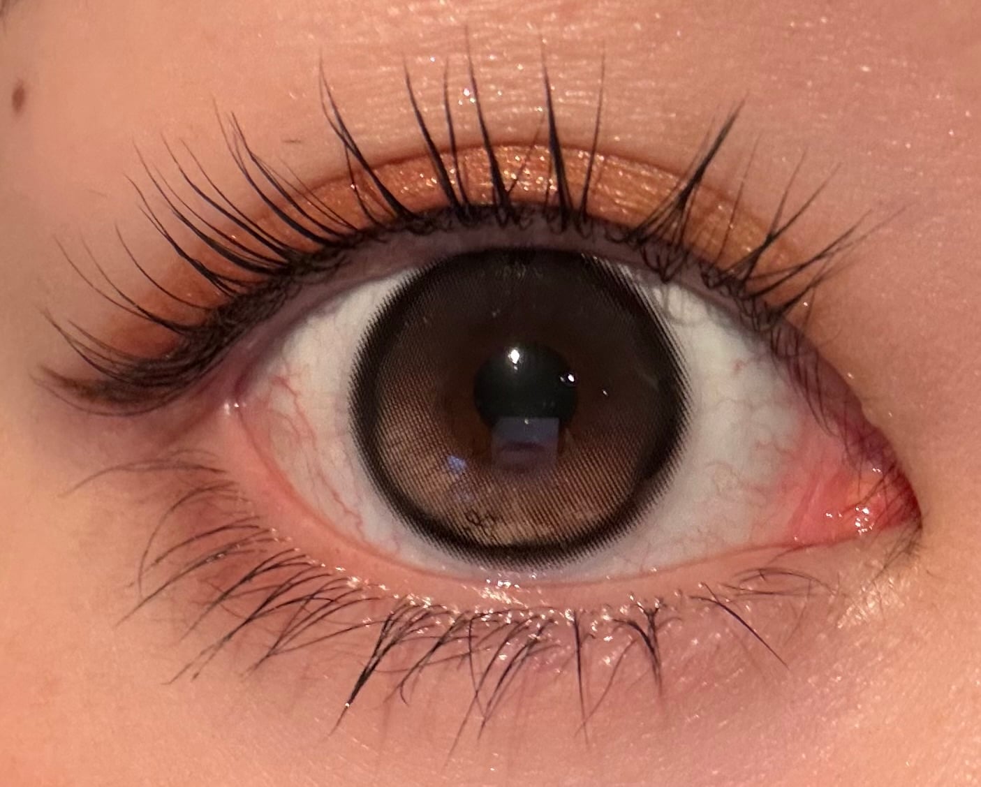 [I-SHA] リボン ロージーウッド【1ヶ月】軸固定