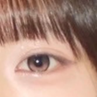 [I-SHA] リボン ロージーウッド【1ヶ月】軸固定