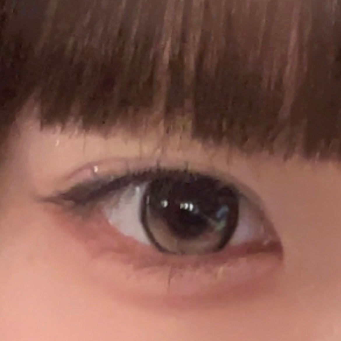 [I-SHA] リボン ロージーウッド【1ヶ月】軸固定