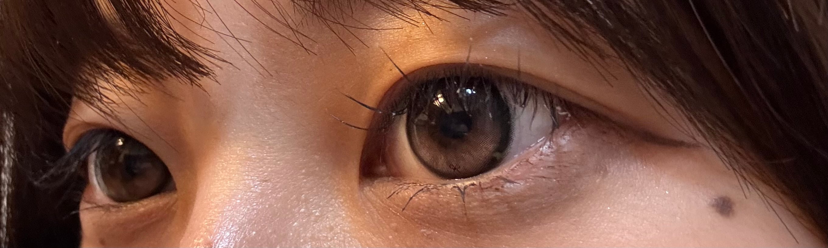 [I-SHA] リボン ロージーウッド【1ヶ月】軸固定