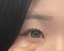 [I-SHA] リボン ロージーウッド【1ヶ月】軸固定