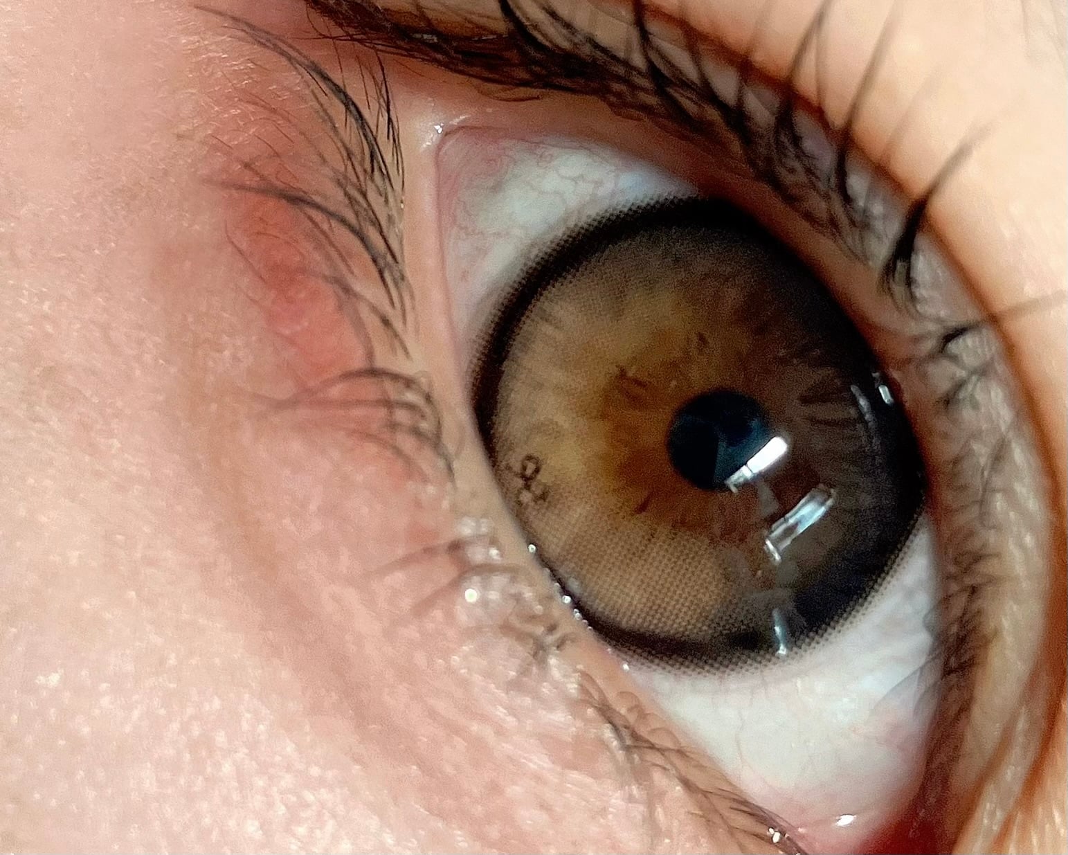 [I-SHA] リボン ロージーウッド【1DAY】軸固定