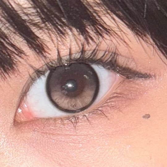 [I-SHA] リボン ロージーウッド【1DAY】軸固定