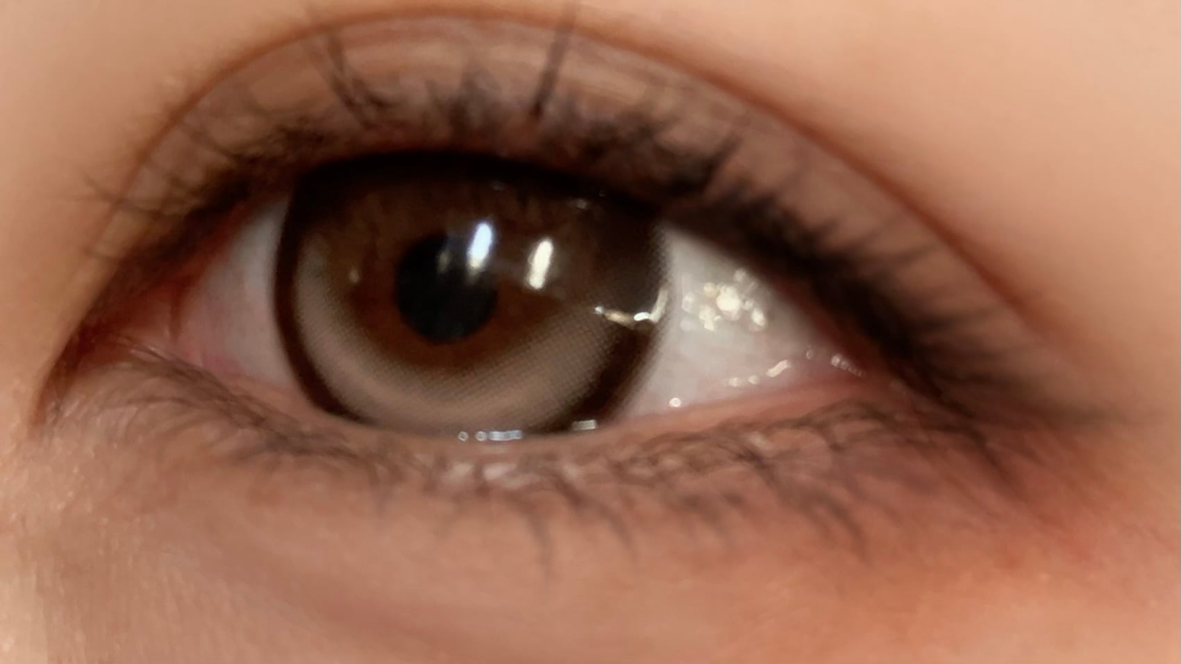 DEKAME キスミーミルキーチョコ [1日用] 軸固定