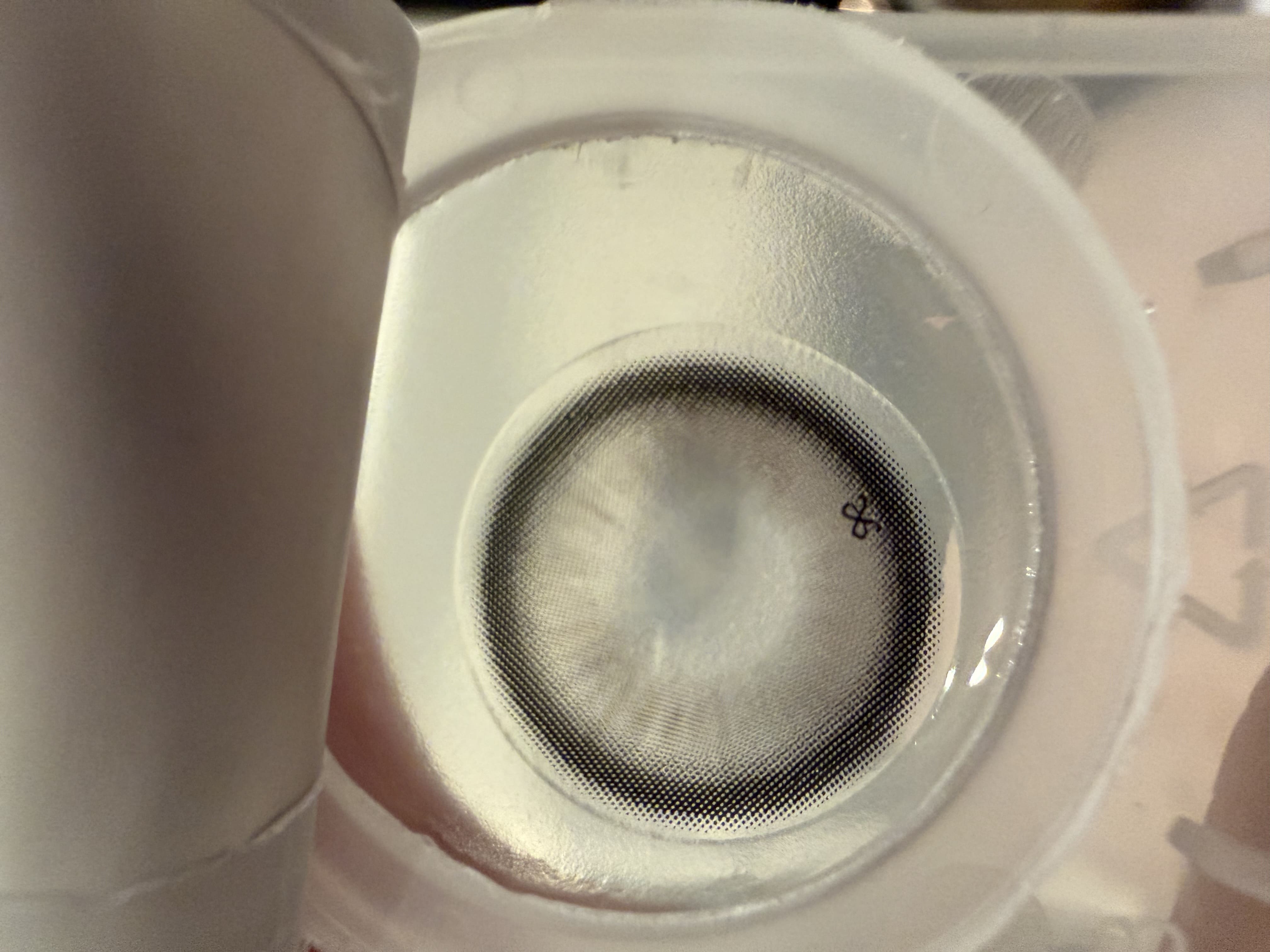 [I-SHA] リボンレッド ミルキーグレー【1DAY】軸固定