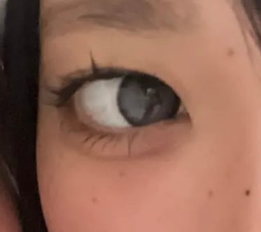 DEKAME ラブミーグレー [最長3~6ヶ月用]